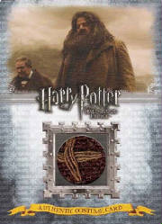 hbp_c4_hagrid_195-480.jpg